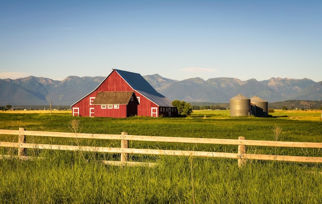 Soirée d'été avec une grange rouge dans le Montana rural