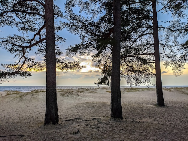 Soirée nuageuse à la plage de Komarovo.