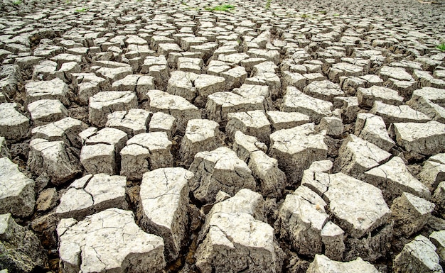 sol aride, pénurie d&#39;eau en saison.