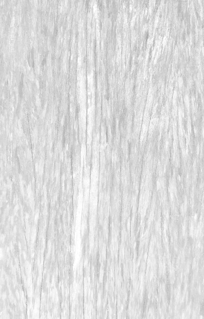 Un sol en bois blanc avec une belle texture