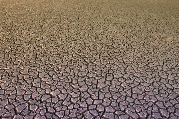 Sol brisé dans l'environnement de la pampa Patagonie Argentine