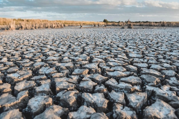 Sol brisé dans l'environnement des Pampas Patagonie Argentine