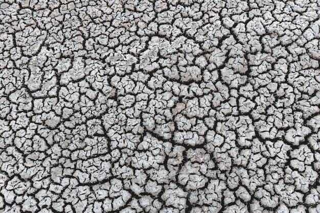 Sol brisé dans l'environnement des Pampas Patagonie Argentine