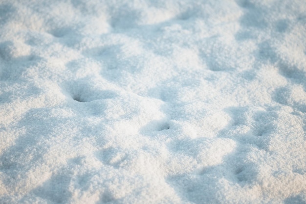 Sol couvert de neige pendant les journées d'hiver ensoleillées Fond de neige vide