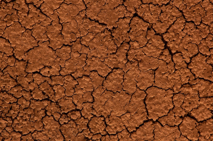 Photo sol craquelé séché brun.