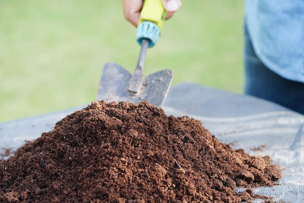 Sol d'engrais de mousse de tourbe pour le concept d'écologie de culture de plantes d'agriculture biologique