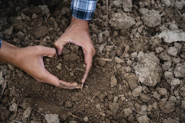 Le sol entre les mains des agriculteurs Concept d'agriculture