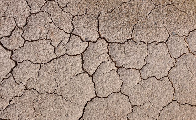 Sol fissuré à cause de la sécheresse. La saison sèche fait sécher et fissurer le sol