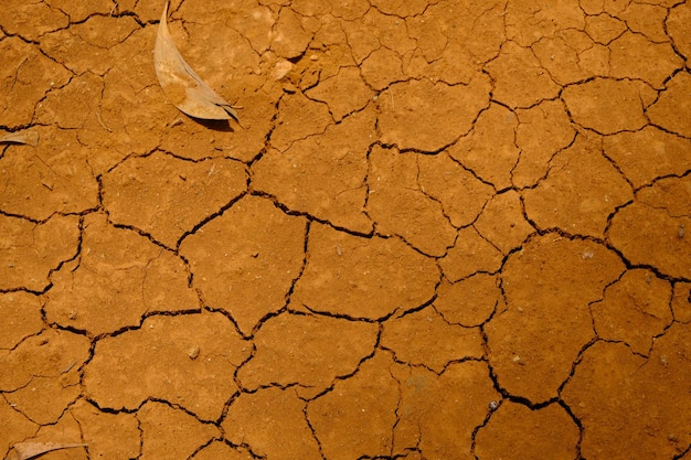 sol fissuré par manque d'eau en saison sèche. Le réchauffement climatique provoque le changement climatique. la terre.