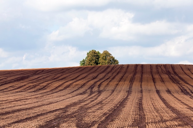 Sol labouré pour semis sur un champ agricole avec traces de transport