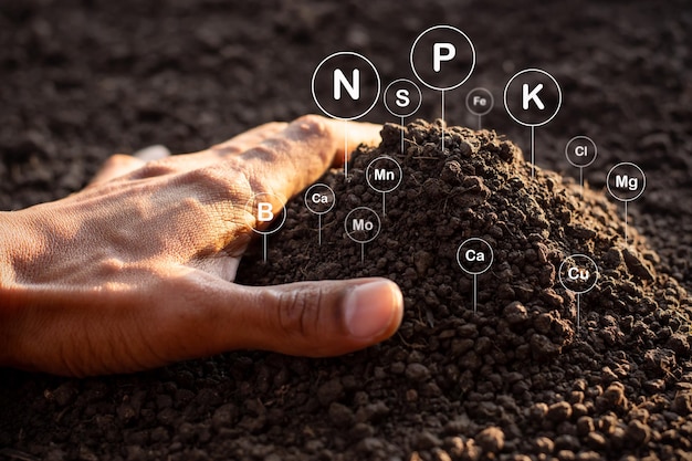 Le sol limoneux fertile pour la plantation avec la technologie emblématique dans le sol