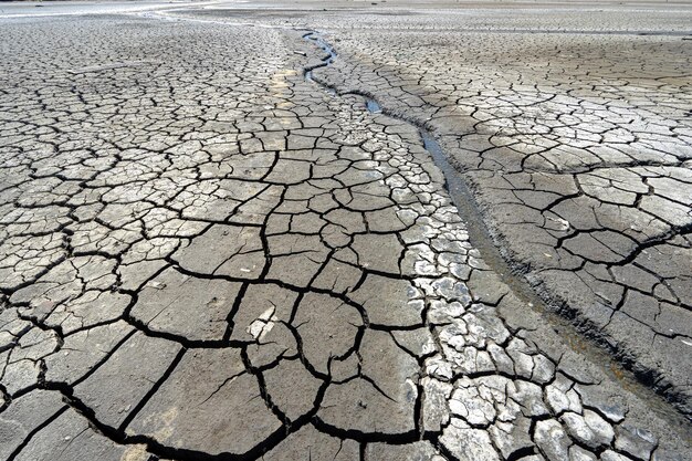 sol sec et fissuré de la rivière asséchée de la caldera grande dans la ville de Barreiro avec un petit ruisseau