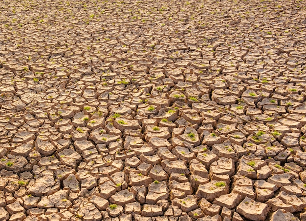 Le sol sec résulte du manque d'eau.