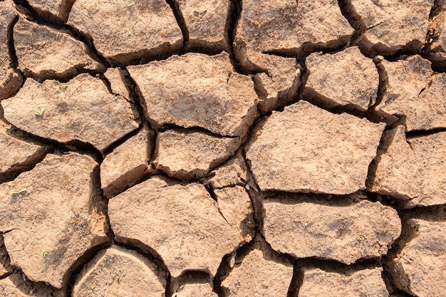 Le sol sec résulte du manque d'eau.