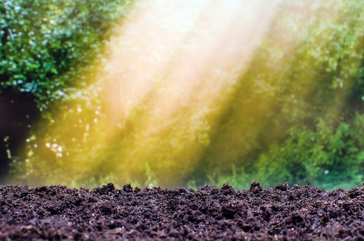 Photo sol vide prêt pour les plantes sur fond de feuilles vertes.