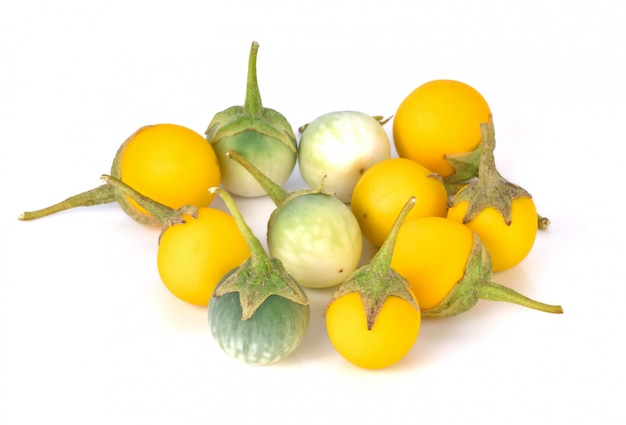 Solanum sur fond blanc