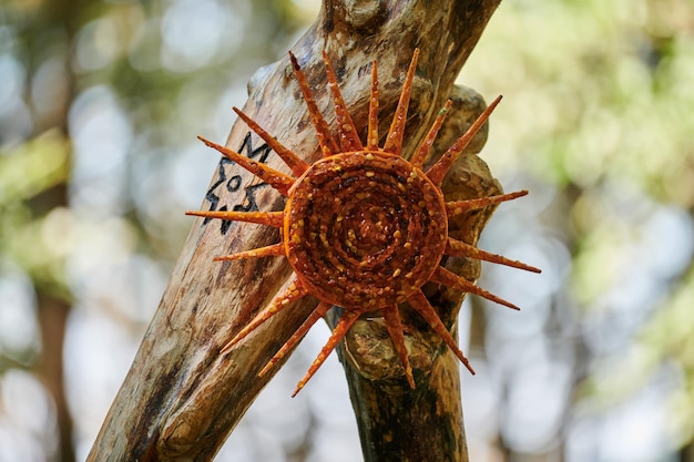 Soleil ambre sur tronc d'arbre sur fond de forêt verte objet d'art décoratif à partir de petites pierres d'ambre