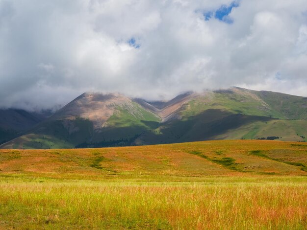 Soleil après la pluie sur le plateau de montagne d'été Paysage alpin pluvieux dramatique dans la vallée verte et montagnes sombres dans les nuages bas Vue impressionnante sur la montagne pointue dans les nuages bas