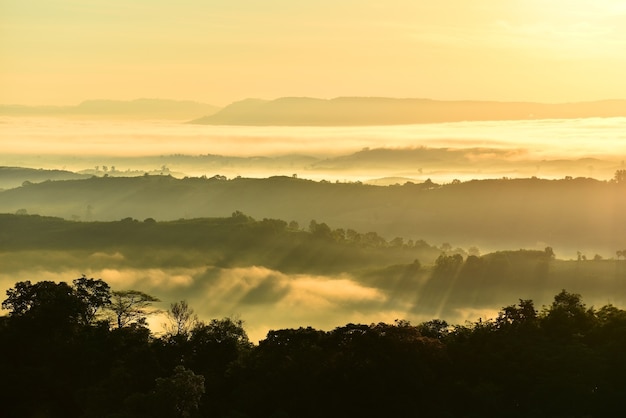 Le soleil brille sur la brume