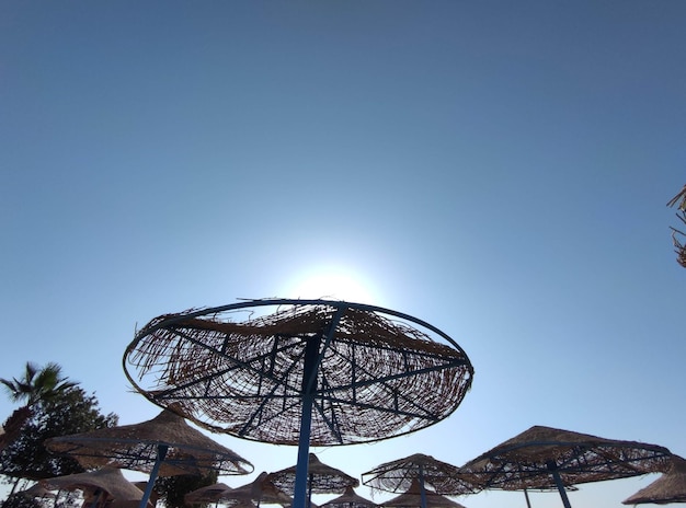 un soleil brille derrière un parapluie qui est bleu