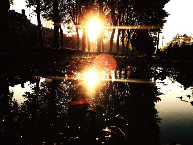 Photo le soleil brille sur la rivière