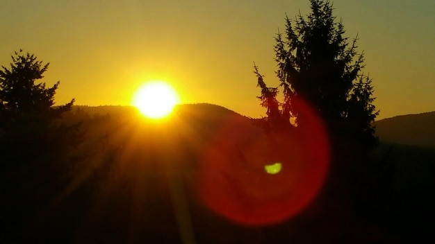 Photo le soleil brille à travers les arbres