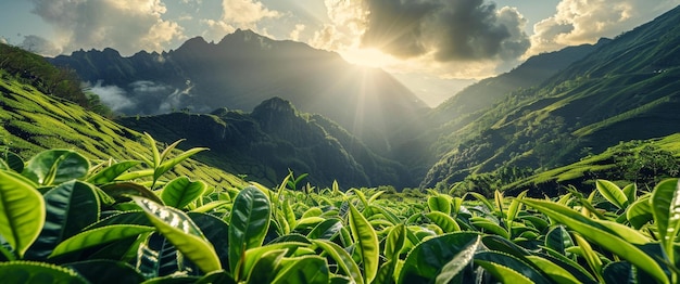 Le soleil brille à travers les nuages dans les montagnes