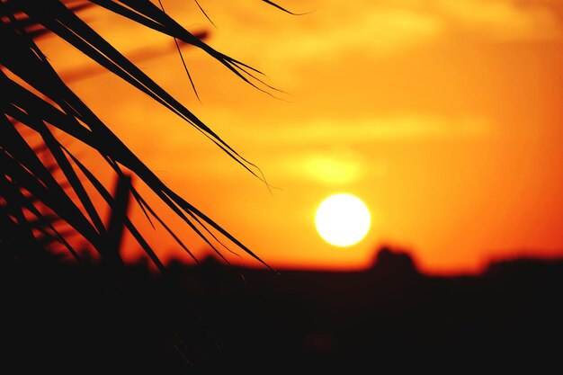 Photo le soleil brille à travers les nuages