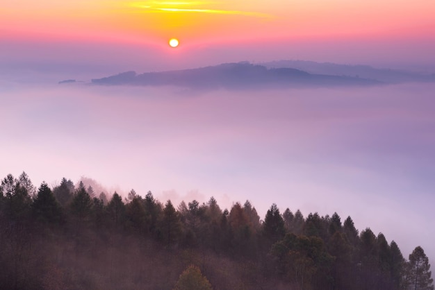 Soleil sur les nuages au petit matin brumeux en automne