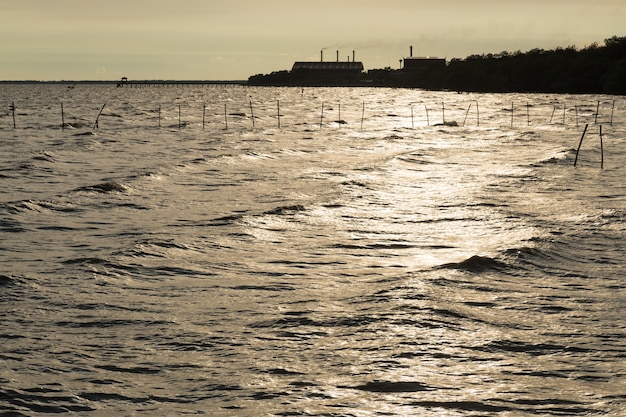 des soleils dans la mer.