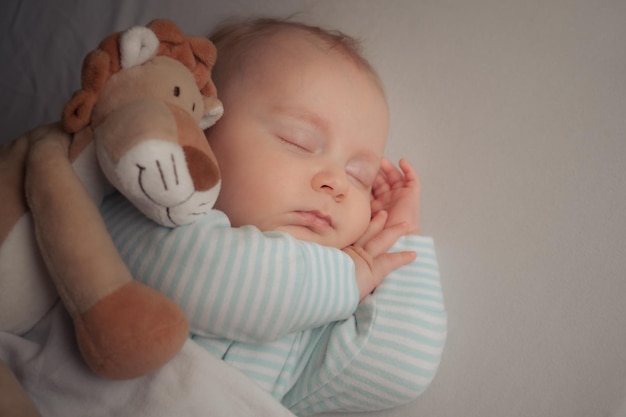 Sommeil insouciant petit bébé avec lion en peluche sur le lit dans une pièce lumineuse