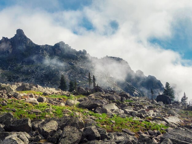 Photo le sommet ensoleillé de la montagne, la forêt mince, les montagnes dans les nuages bas.