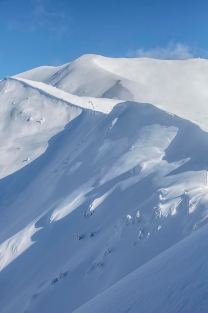 Sommet de la montagne blanche dans la neige