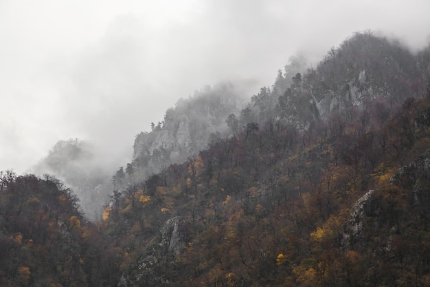 Le sommet de la montagne dans les nuages et le brouillard