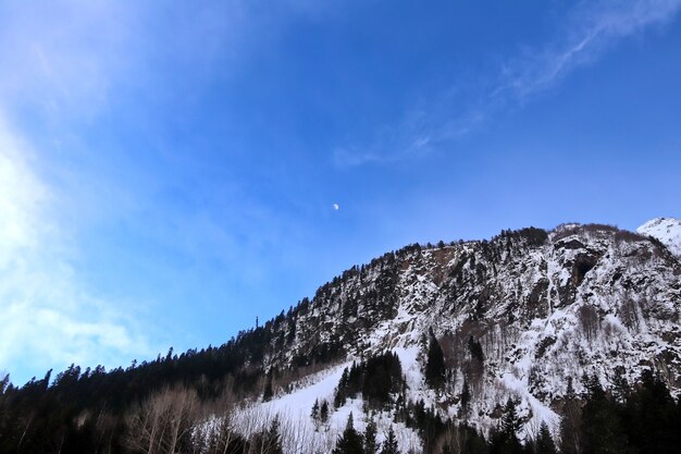 Sommet de la montagne enneigée avec des arbres dans le ciel bleu des nuages