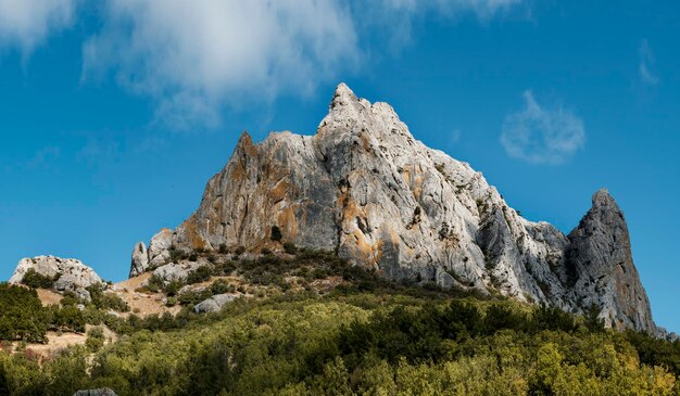 Sommet de montagne parmi les arbres verts ciel bleu avec des nuages blancs photo de haute qualité