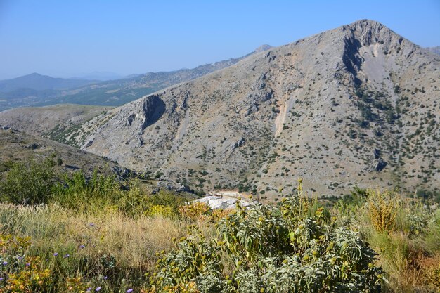 sommet de la montagne avec prairie devant et ciel bleu clair