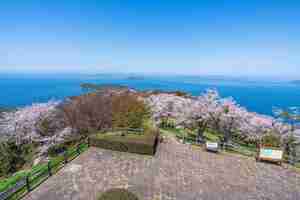 Photo le sommet de la montagne shiude shiudeyama fleurit en pleine floraison au printemps kagawa shikoku japon