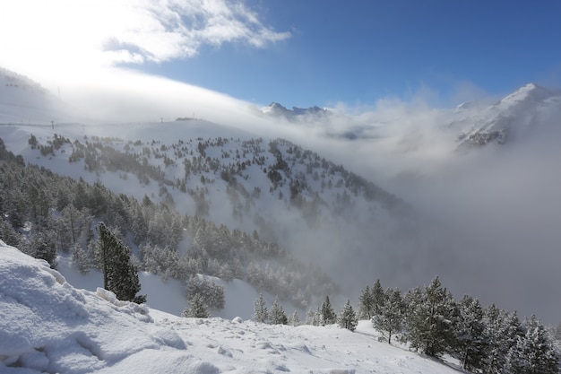 Le sommet des montagnes avec forêt couverte de neige, brouillard et nuages sur une journée glaciale ensoleillée
