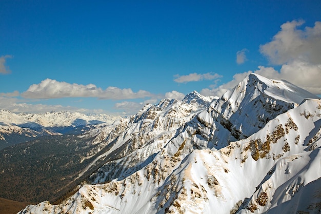 Sommets enneigés contre le ciel bleu