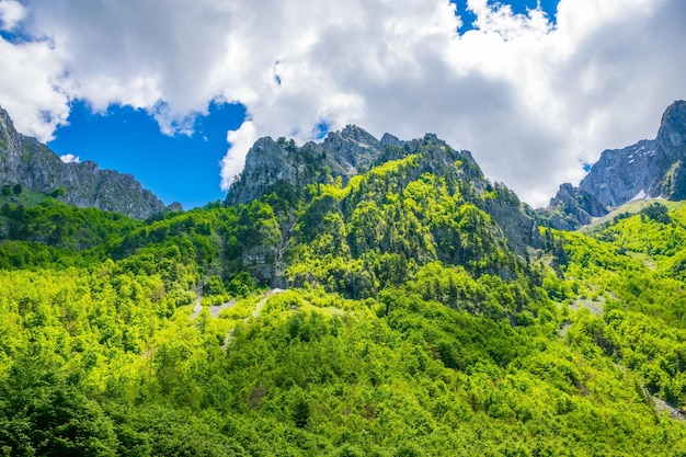 Sommets enneigés pittoresques des hautes montagnes