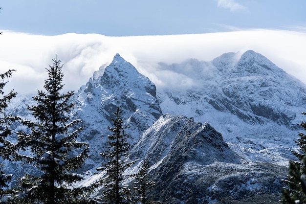 Des sommets incroyablement beaux de montagnes enneigées, une faune incroyable