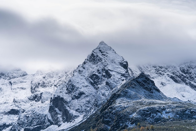 Des sommets incroyablement beaux de montagnes enneigées, une faune incroyable