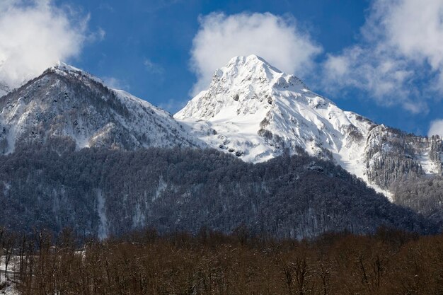 Des sommets de montagne couverts de neige et de ciel bleu Le concept de vacances d'hiver