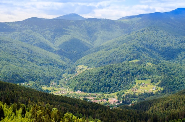 sommets des montagnes des Carpates en été