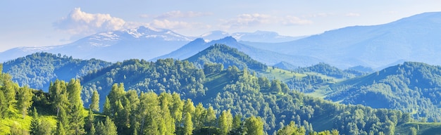 Les sommets des montagnes dans une brume bleue un jour de printemps