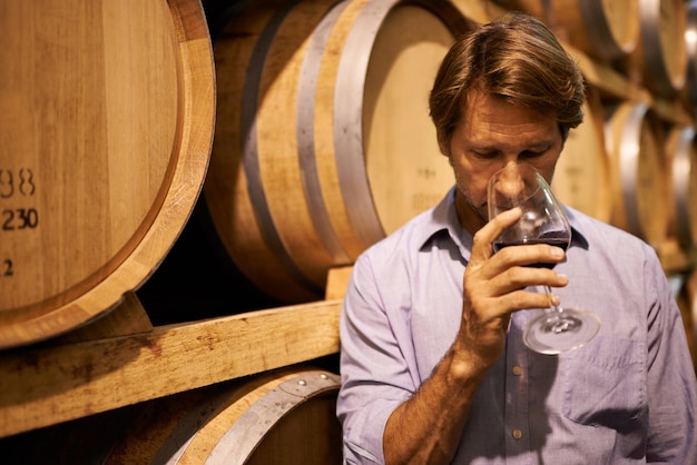 Son nez est exceptionnel Photo d'un bel homme mûr debout dans une cave à vin avec un verre de vin rouge