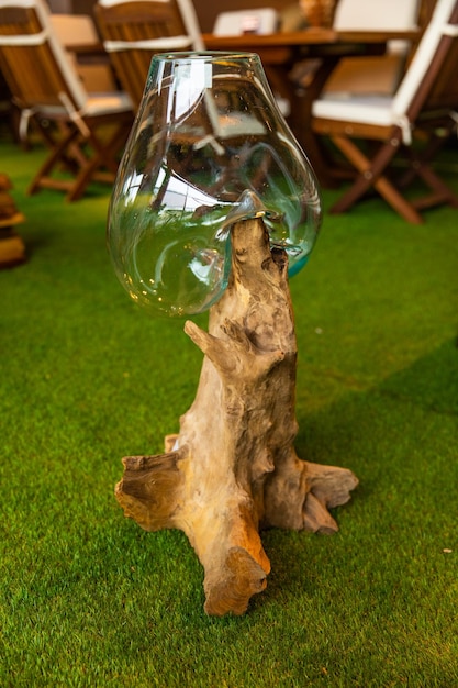 Une souche d'arbre avec un globe de verre dessus