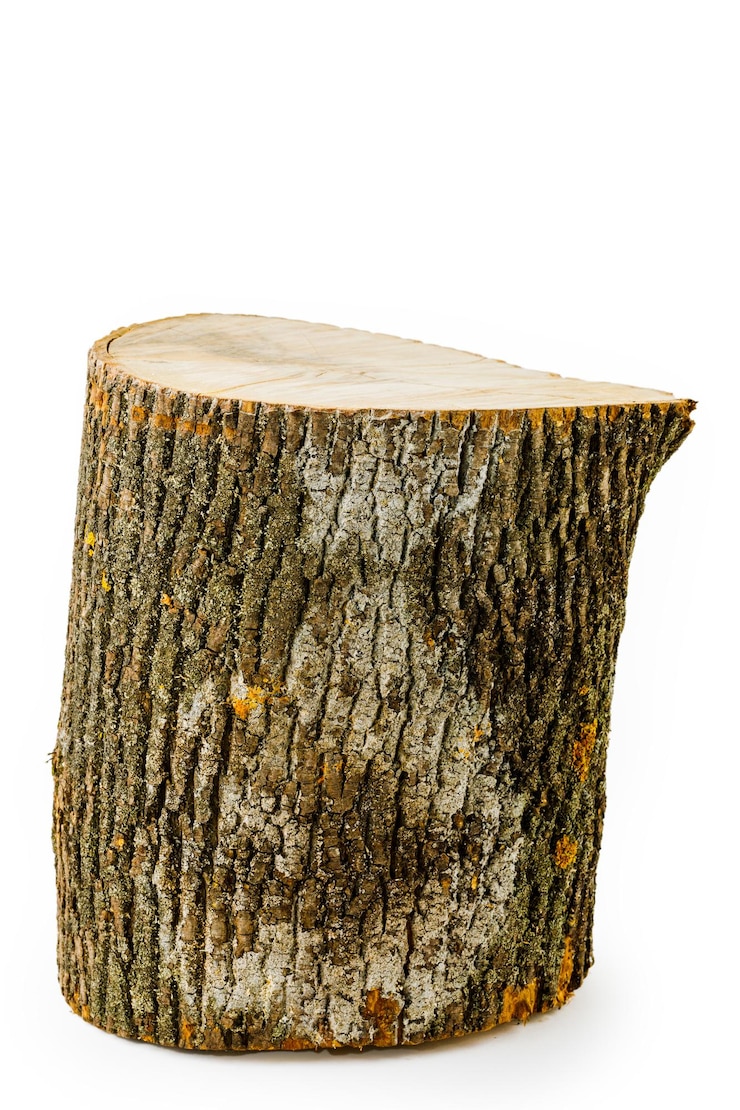 Photo souche en bois isolé sur fond blanc. arbre rond en rondins avec cernes annuels en forme de texture de bois.