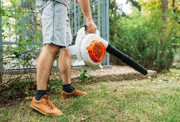 Souffleurs De Feuilles Sans Fil, Souffleur De Feuilles électrique Portatif Sans  Fil Dans Un Jardin, Travaux De Jardinage D'automne